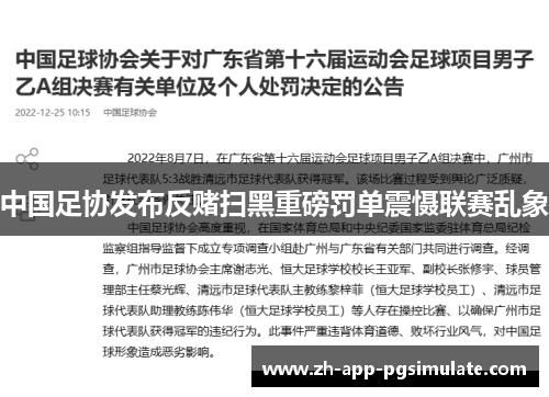中国足协发布反赌扫黑重磅罚单震慑联赛乱象