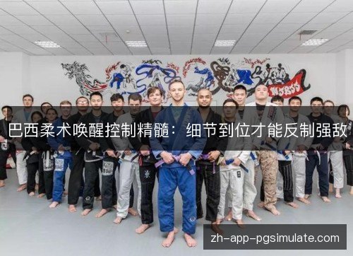 巴西柔术唤醒控制精髓：细节到位才能反制强敌